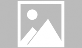 日本动漫画家,揭秘日本动漫画家创作之路